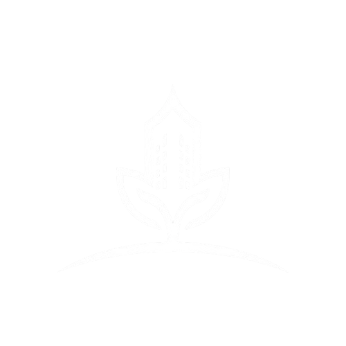 Implementación y Desarrollo